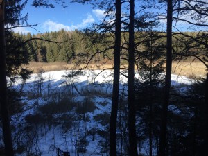 laghestel-inverno