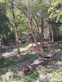 2023_08_18_004-Stenico-Cascate-Bosco-arte-Sternico-Tavodo
