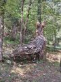 2023_08_18_005-Stenico-Cascate-Bosco-arte-Sternico-Tavodo