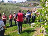 2026_04_17-Revo_Azienda_Agricola_El_Zeremia-010